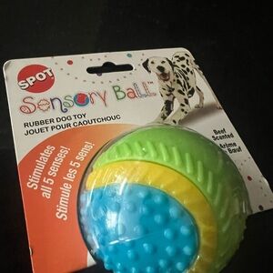 NEW Spot Sensory Ball Rubber Dog Toy, in package